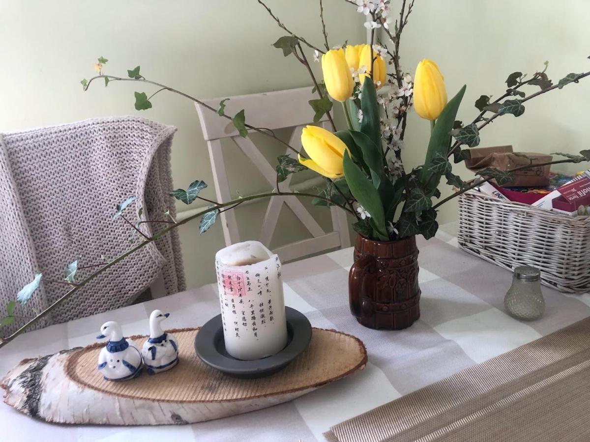 Apartmán Dom Otwarty Jelení Hora Exteriér fotografie